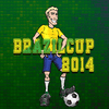 Brasil Cup 2014